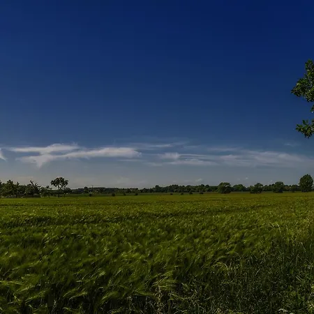 Bed & Breakfast Zur Post