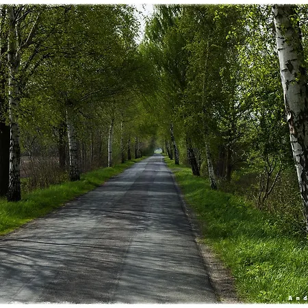 Bed & Breakfast Zur Post