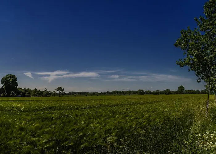 Bed & Breakfast Zur Post