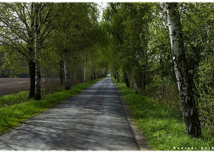 Bed & Breakfast Zur Post